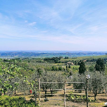 La Casina Di Colle - Appartamento Rustico Sulle Colline Di Pisa Кашана Терме Екстериор снимка