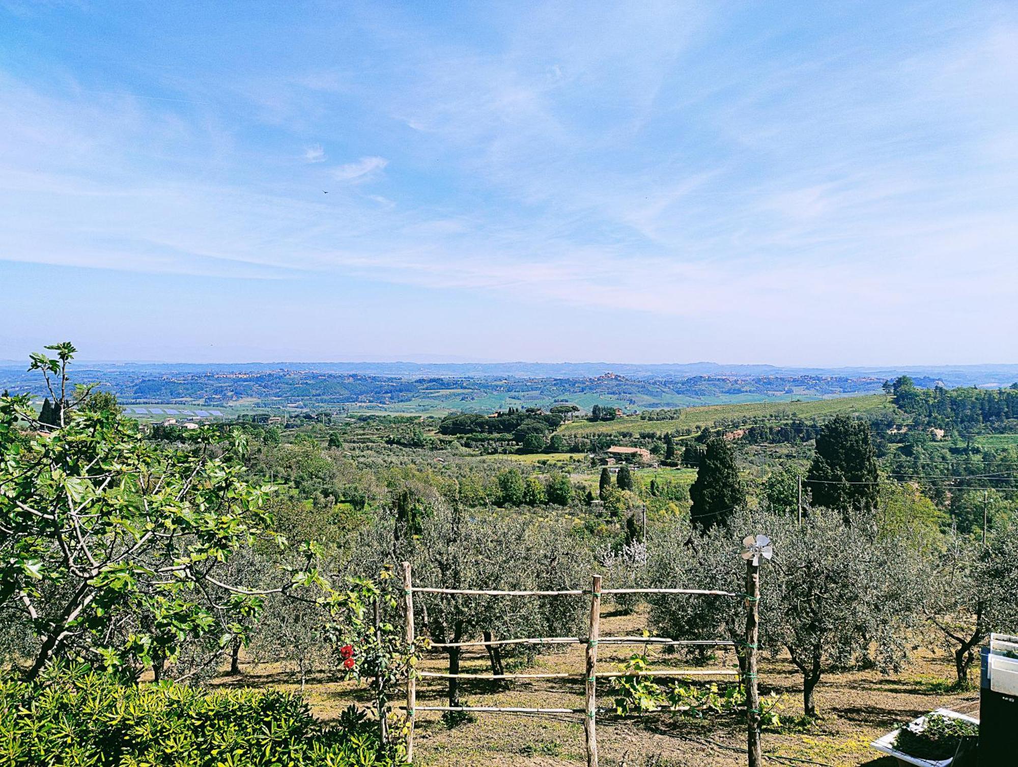 La Casina Di Colle - Appartamento Rustico Sulle Colline Di Pisa Кашана Терме Екстериор снимка